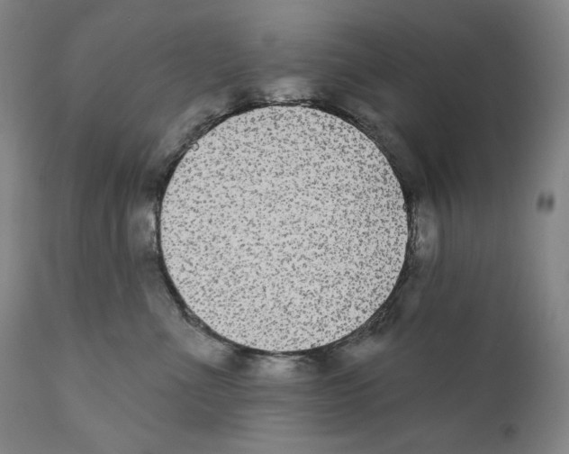 X0000110720523200907101407