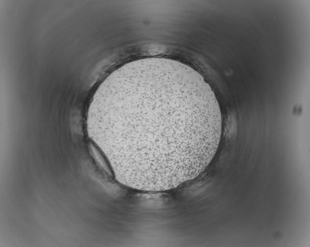 X0000110720524200907101407