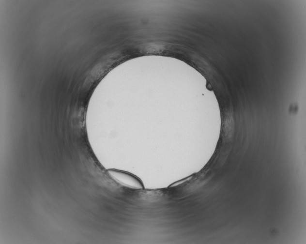 X0000110720525200907101407