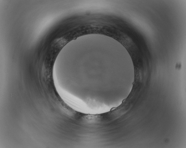 X0000110720526200907101407