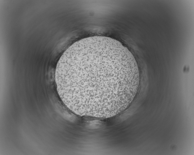 X0000110720528200907101407