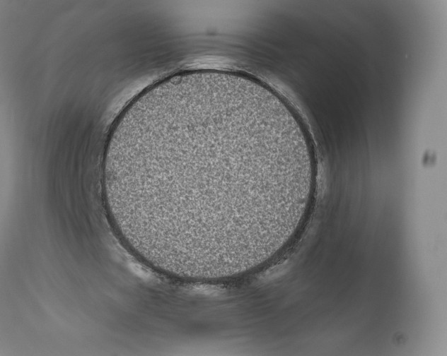 X0000110720529200907101406