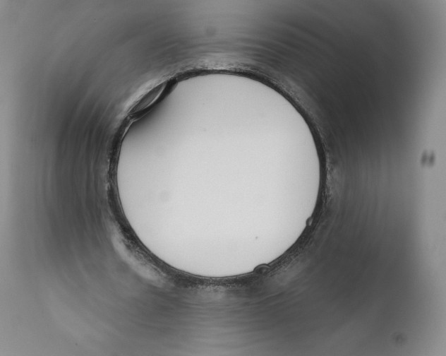 X0000110720530200907101406