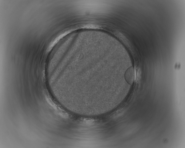 X0000110720531200907101406