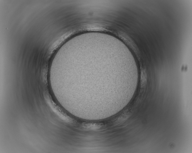 X0000110720533200907101406