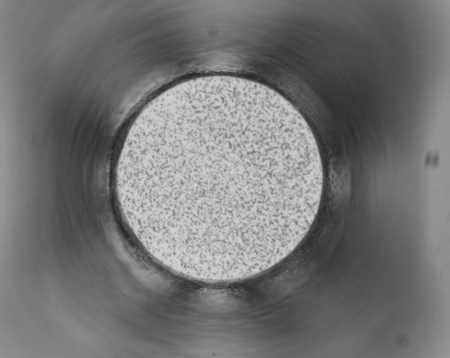 X0000110720534200907101406