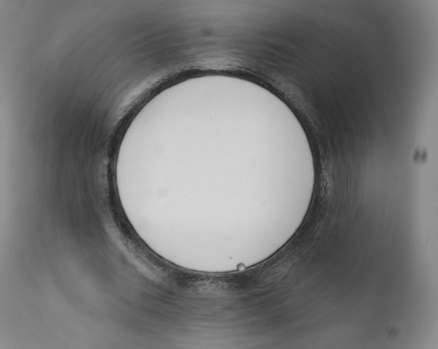 X0000110720535200907101406