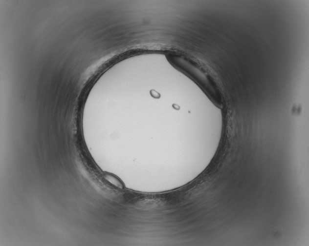 X0000110720536200907101406