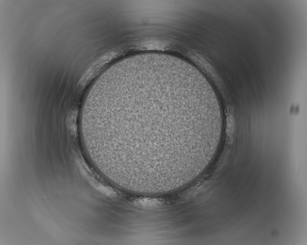 X0000110720537200907101406