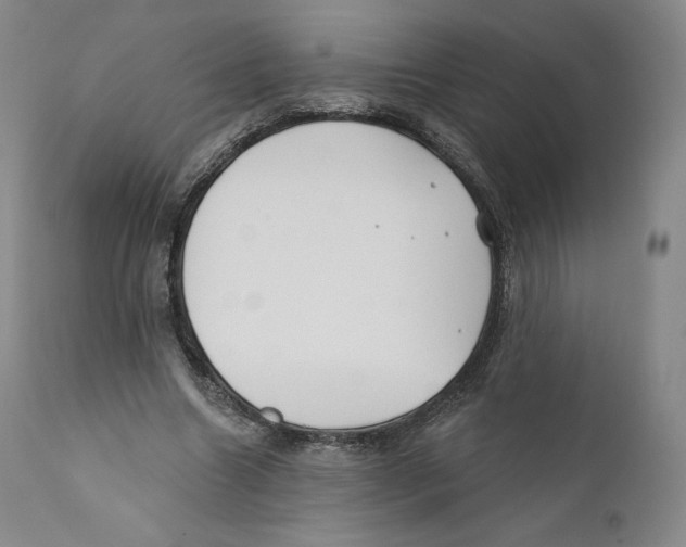 X0000110720538200907101406