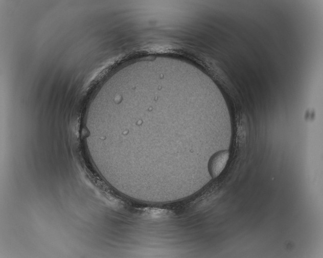 X0000110720539200907101406