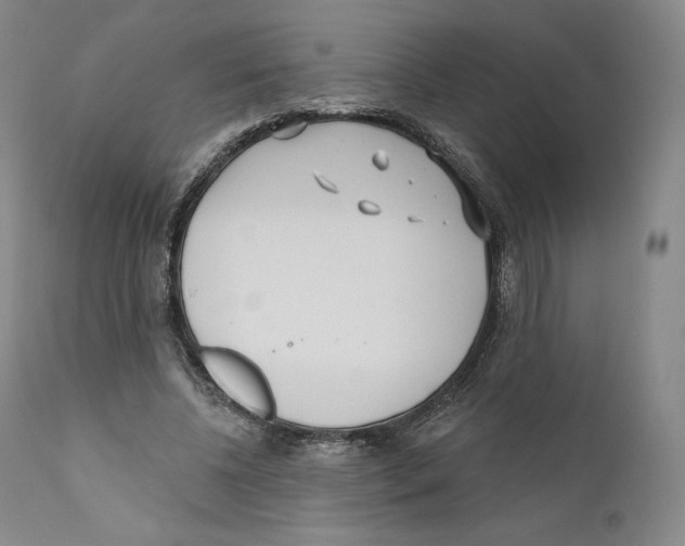 X0000110720540200907101406