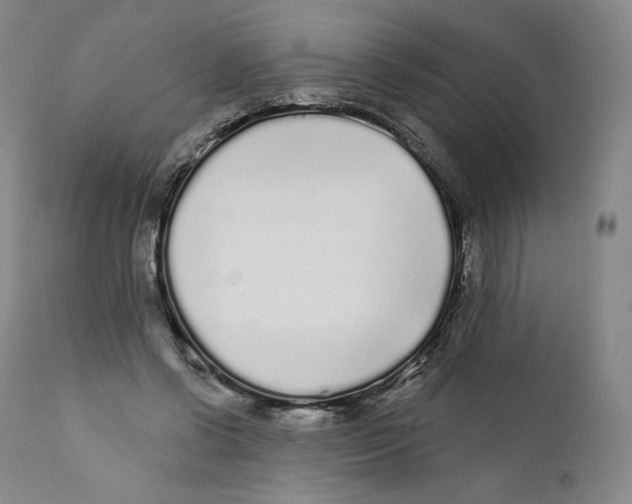 X0000110720542200907101406