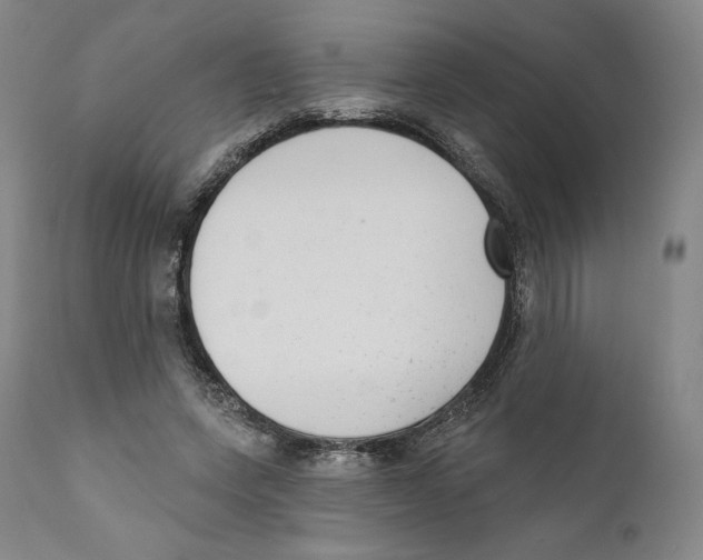 X0000110720543200907101406