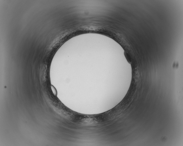 X0000110720544200907101406