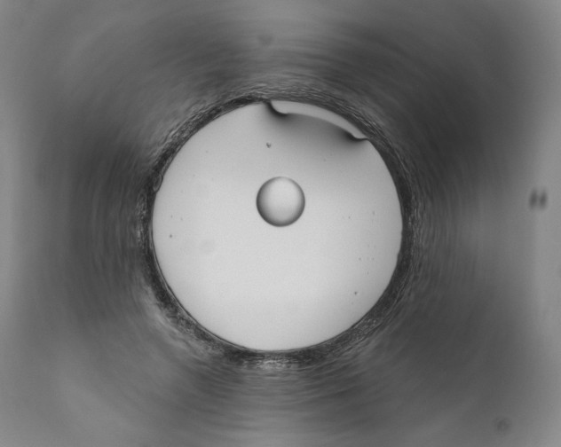 X0000110720546200907101406