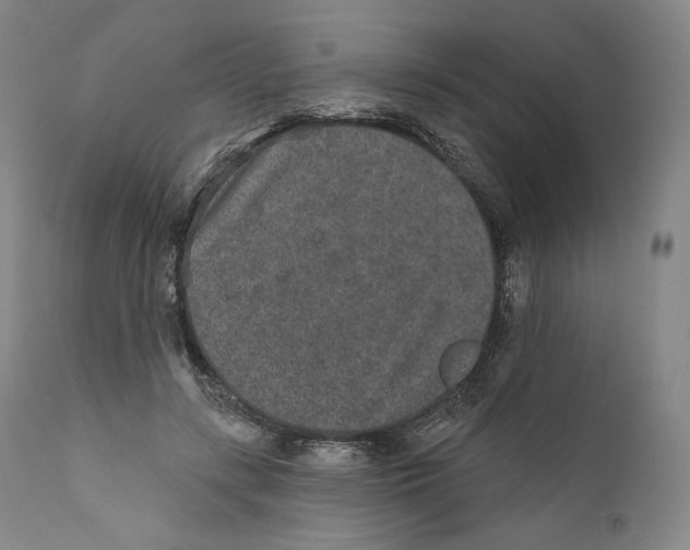 X0000110720547200907101406