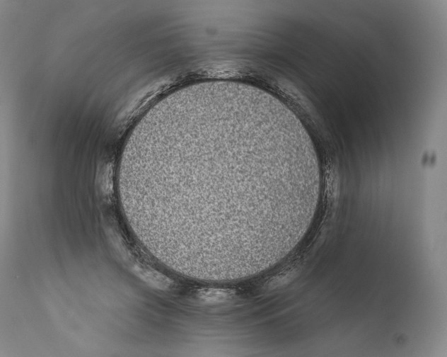 X0000110720549200907101406