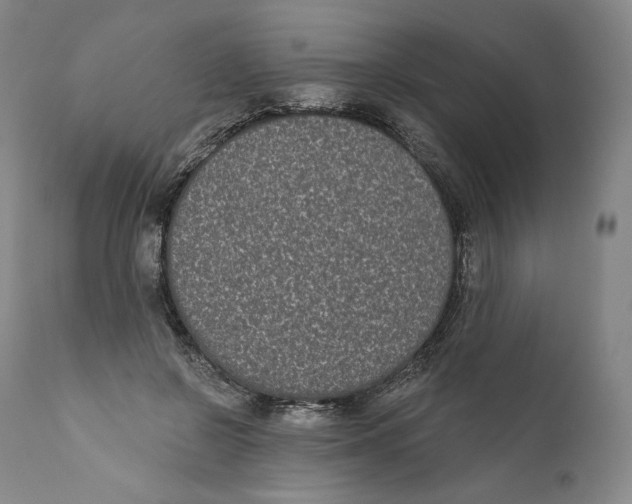 X0000110720550200907101406