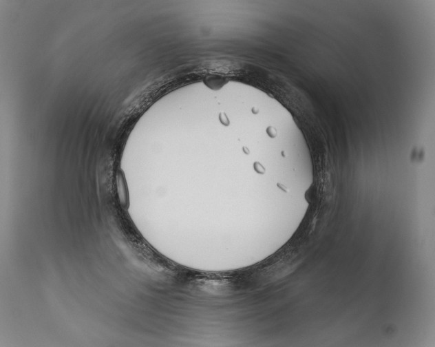 X0000110720552200907101406