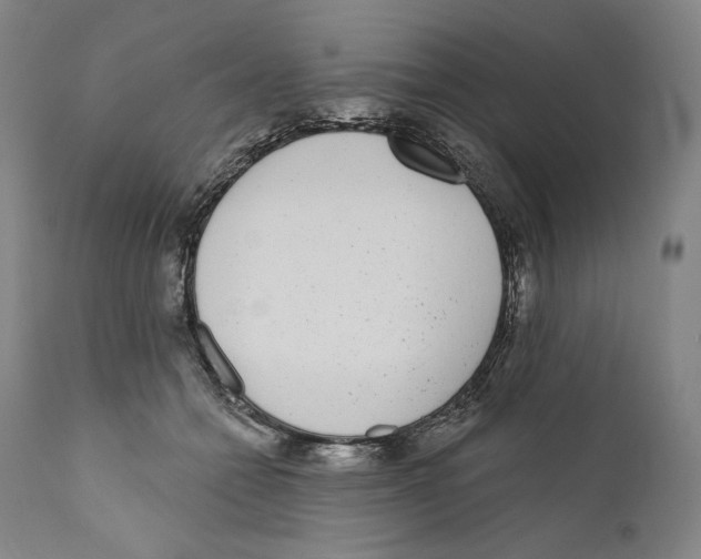 X0000110720558200907101406