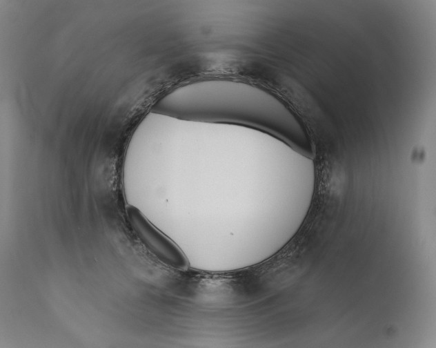 X0000110720560200907101407