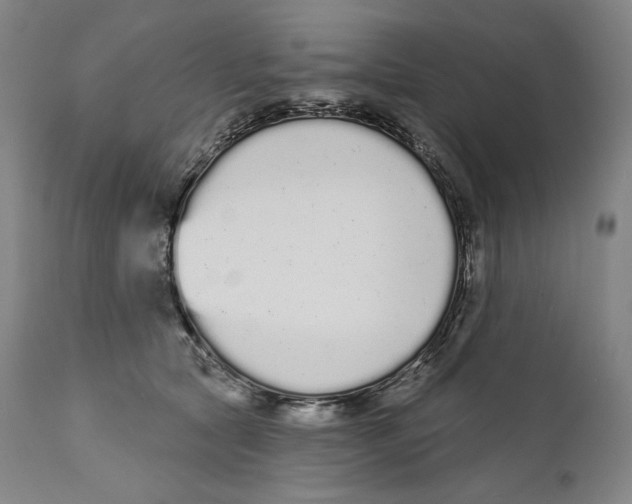 X0000110720561200907101407