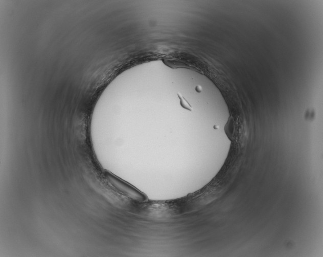 X0000110720562200907101407