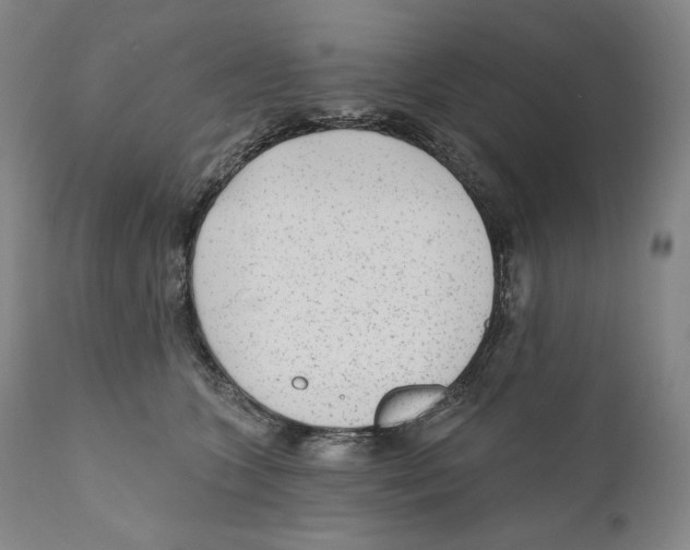 X0000110720563200907101407