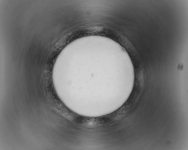 X0000110720565200907101407