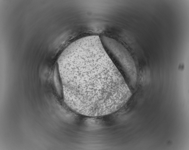 X0000110720568200907101407