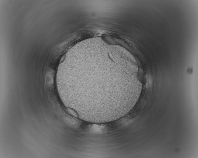 X0000110720570200907101407