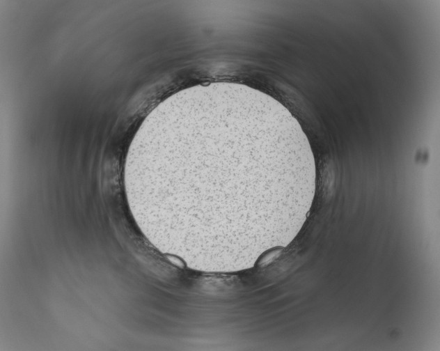 X0000110720571200907101407