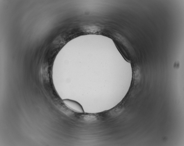 X0000110720572200907101407