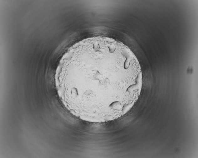 X0000110720573200907101407