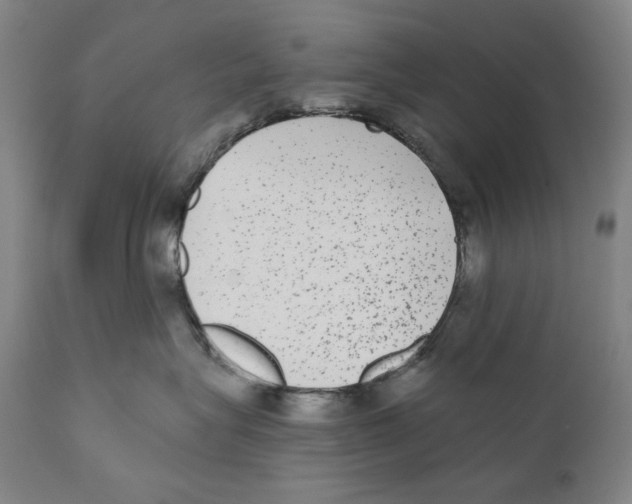 X0000110720575200907101407