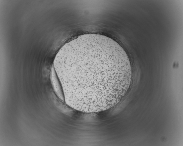 X0000110720576200907101407