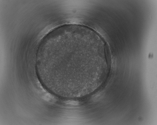 X0000110720577200907101406