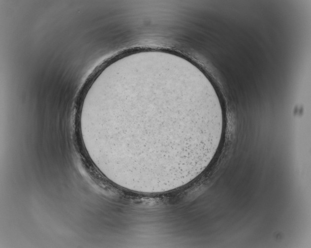 X0000110720580200907101406