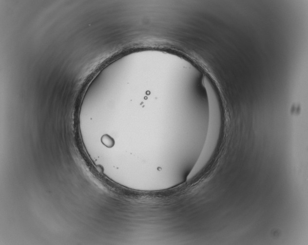 X0000110720581200907101406