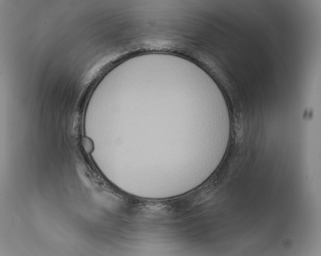 X0000110720583200907101406