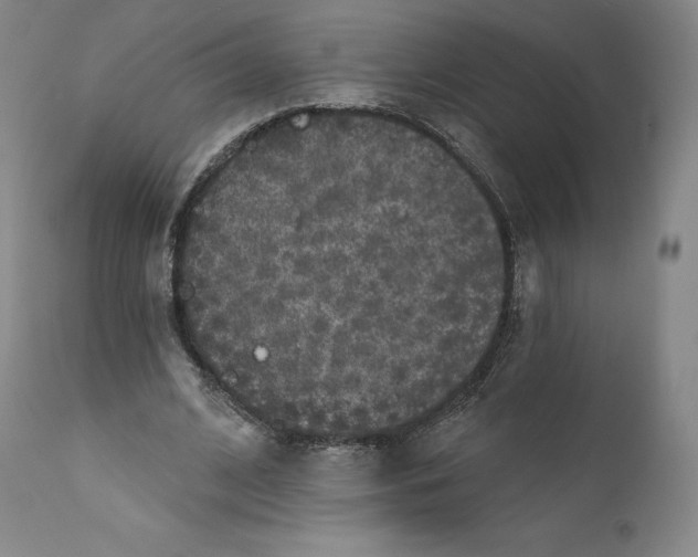 X0000110720584200907101406