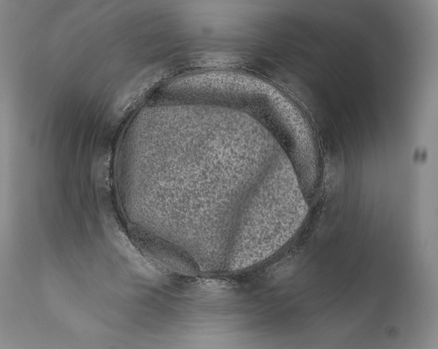 X0000110720585200907101406