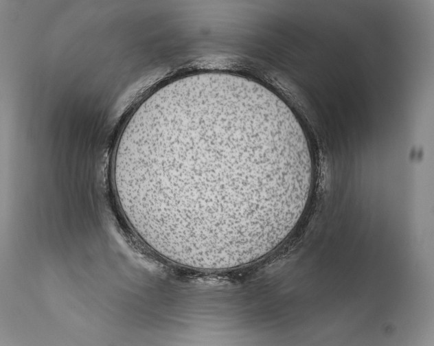 X0000110720586200907101406