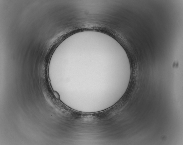 X0000110720587200907101406