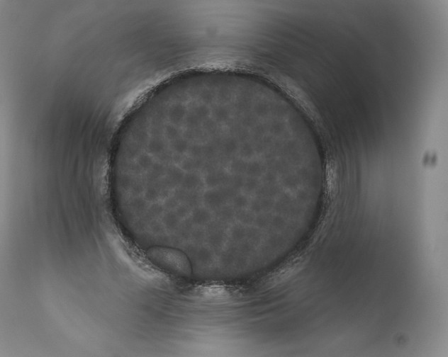 X0000110720588200907101406