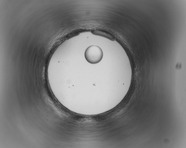 X0000110720589200907101406