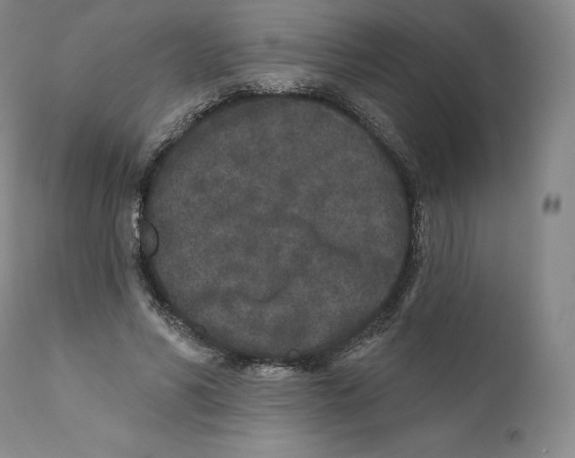 X0000110720590200907101406