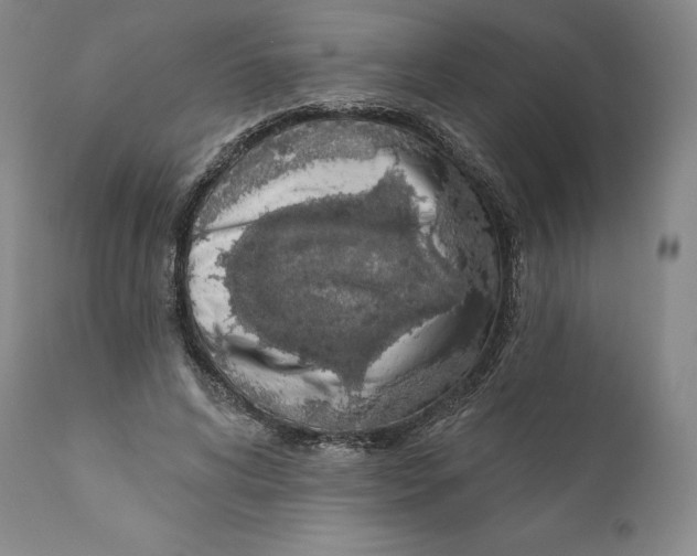 X0000110720592200907101406