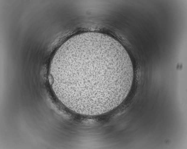 X0000110720594200907101406